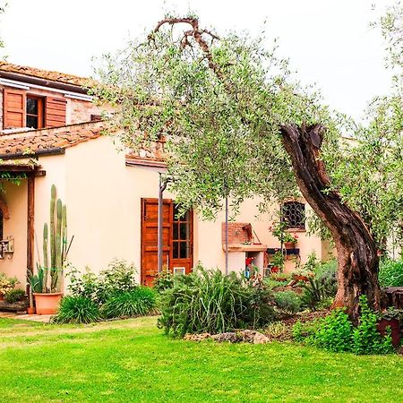 I Glicini Appartamento Castagneto Carducci Dış mekan fotoğraf