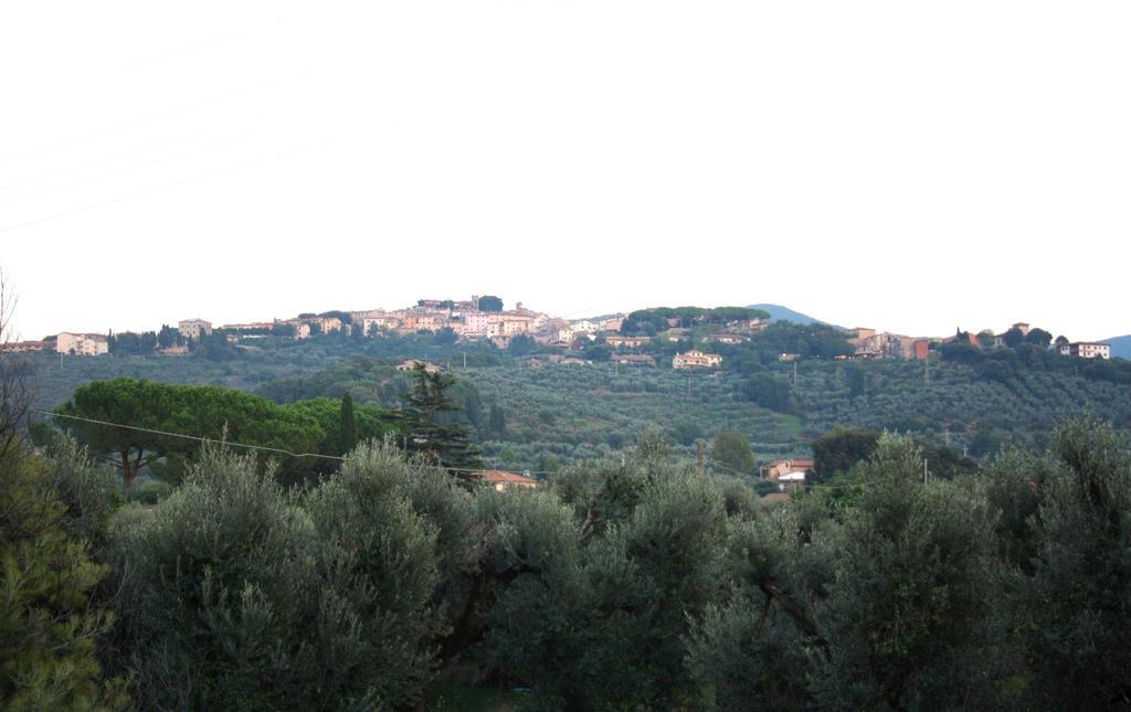I Glicini Appartamento Castagneto Carducci Dış mekan fotoğraf